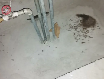 三门峡卫生间测漏水价格明细